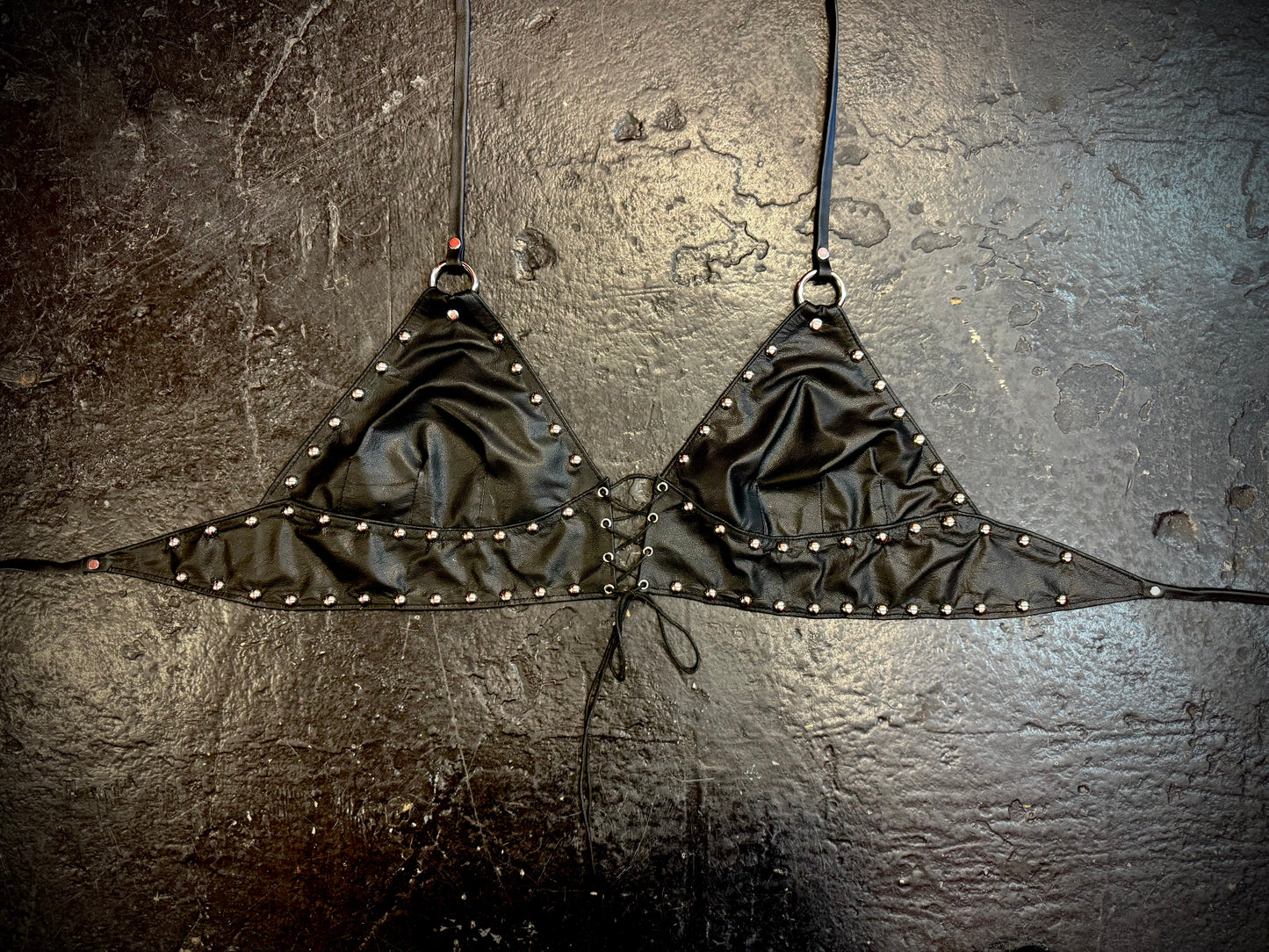 Night prowler halter
